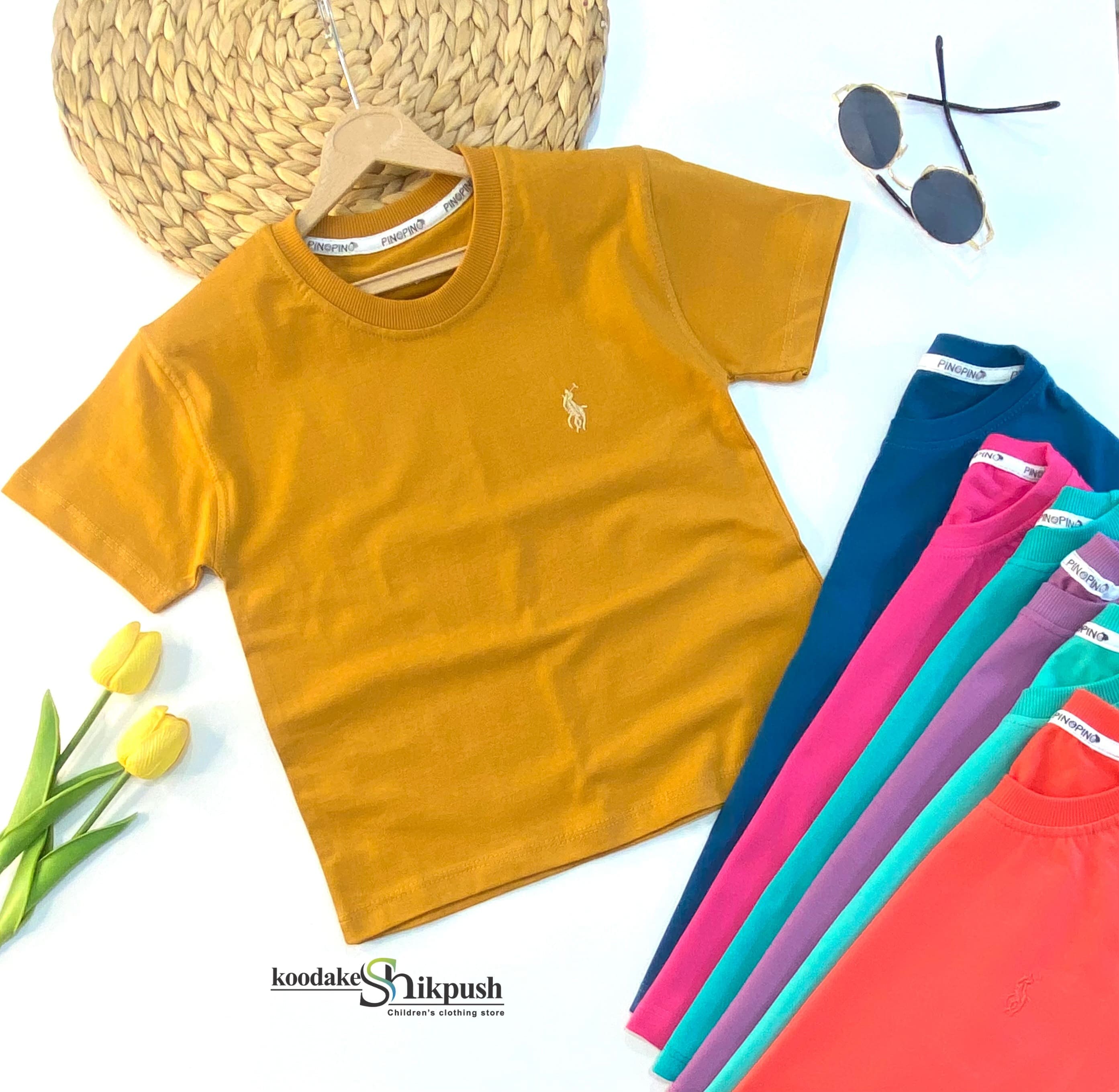 تیشرت تک رنگ پولو