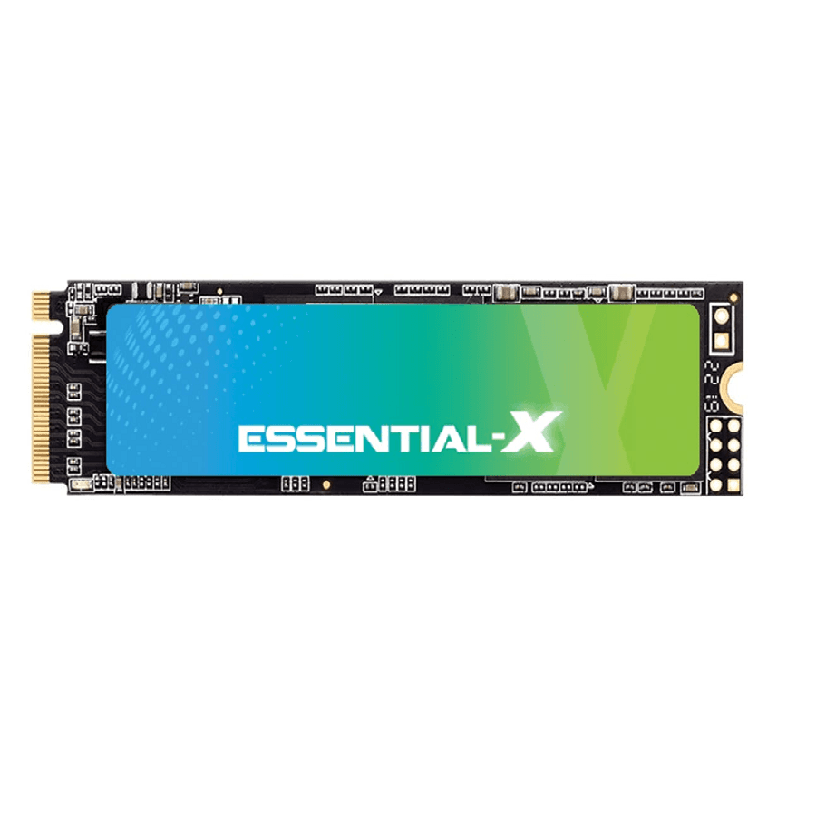 اس اس دی اینترنال اگزاسند مدل ExAscend Essential X ظرفیت 256 گیگابایت