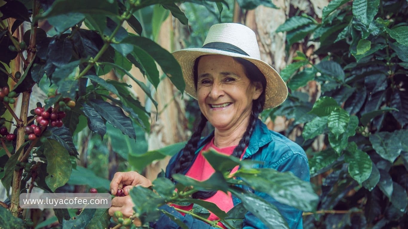 قهوه عربیکا سوپریمو کلمبیا