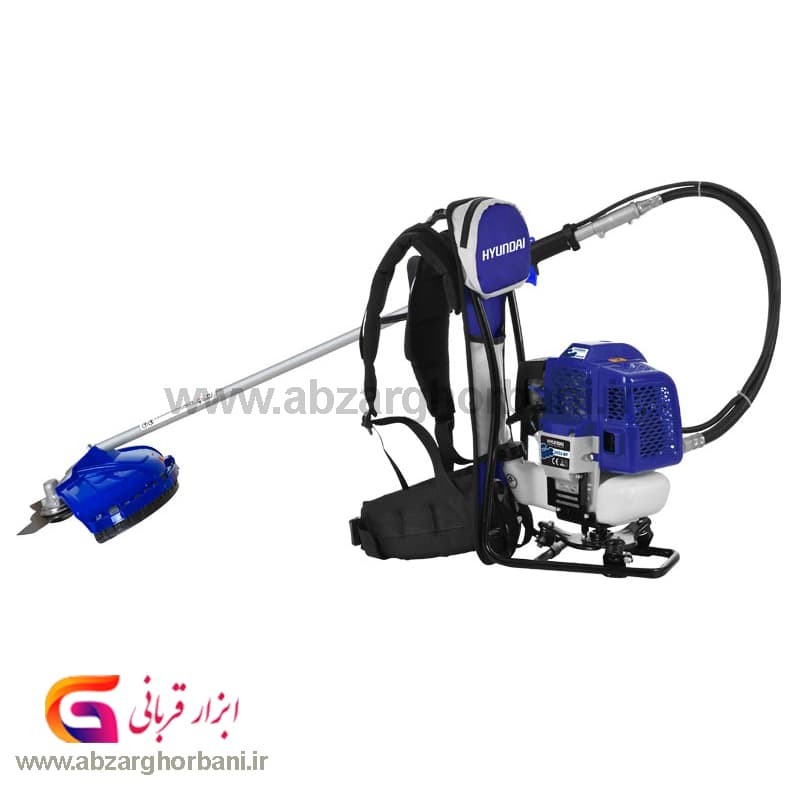 علف زن پشتی هیوندا