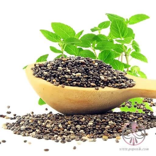 بذر چیا آمریکایی (تخم شربتی)