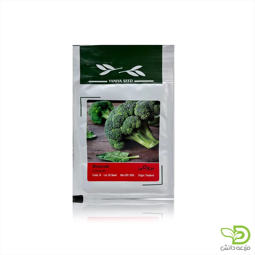 بذر کلم بروکلی خانگی
