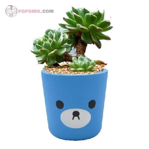 گلدان بتنی عروسکی آبی