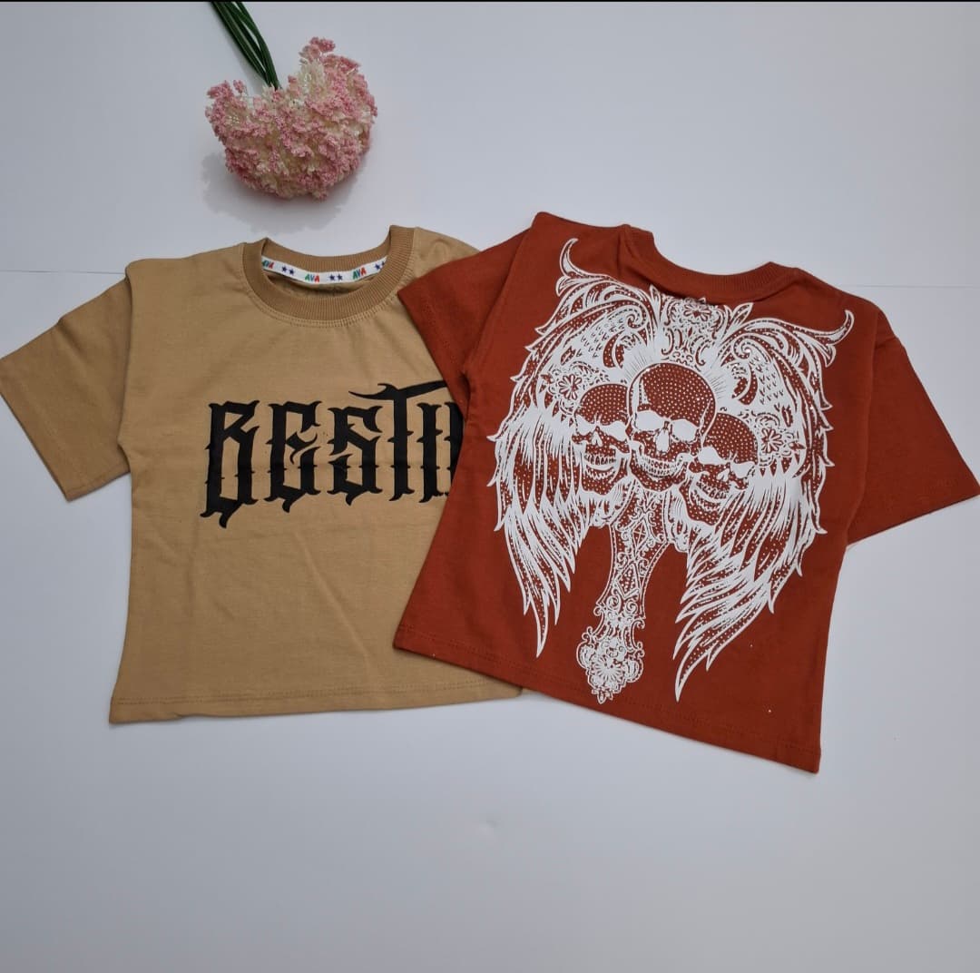 تیشرت تک چاپ نگین مناسب ۲ تا ۱۴ سال شناسه: 728