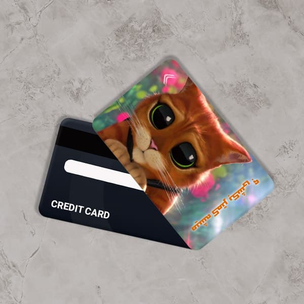 استیکر کارت بانکی مدل فانتزی تخفیف کد CAB268-K