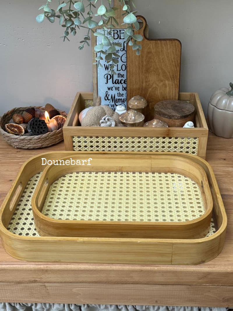 سینی مستطیل