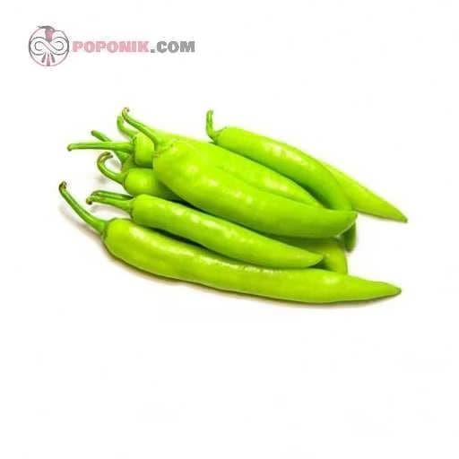 بذر فلفل کاپی سبز کمرنگ