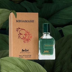 ادکلن مگاماره ارتوپاریسی Jessica Twain