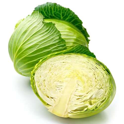 بذر کلم پیچ سبز هیبرید F1