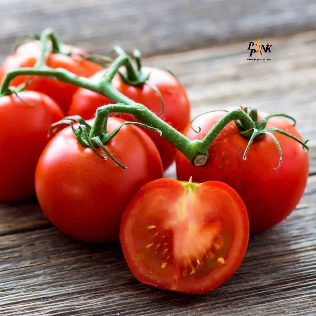 بذر گوجه گیلاسی کلاستر