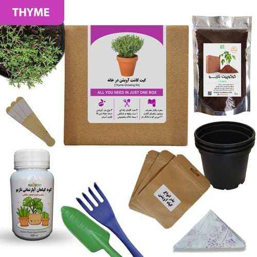 کیت کاشت آویشن در خانه