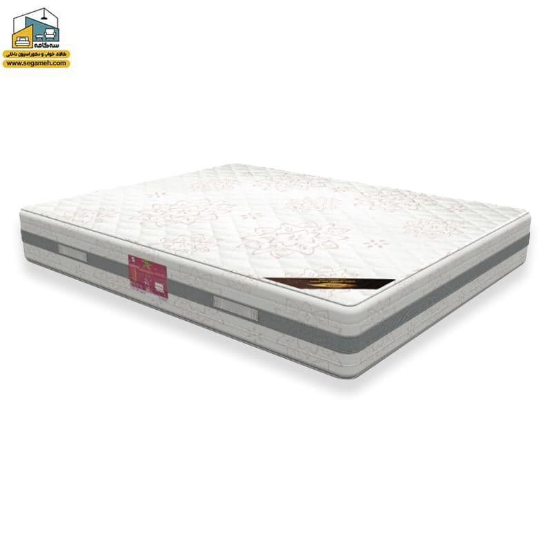 تشک ویستر مدل دکتر ویستر ارتوپدیک سایز 160*200