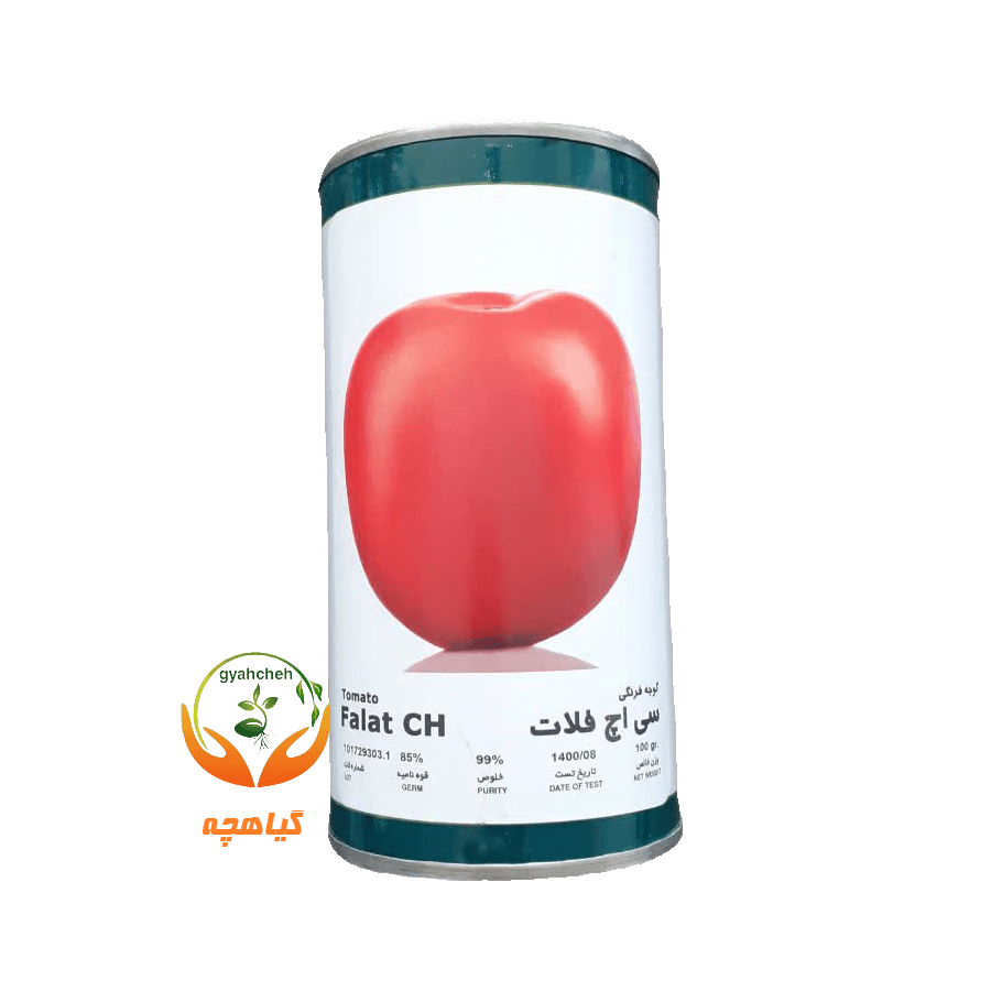 بذر گوجه فرنگی سی اچ فلات | Falat CH