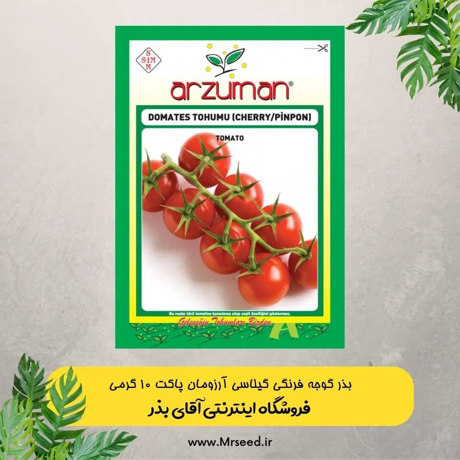 بذر گوجه گیلاسی آرزومان