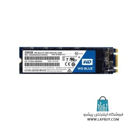 Western Digital WDS250G2B0B M.2 SSD Drive - 250GB حافظه اس اس دی وسترن ديجيتال