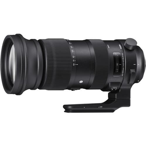 لنز اسپورت سیگما برای نیکون Sigma 60-600mm f/4.5-6.3 DG OS HSM Sports Lens Nikon F