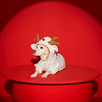 لباس سگ گربه کاراجاهوم کاریبو سفید سایز ایکس لارج