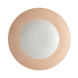 ظرف پاستا بزرگ پاستل گلبهی