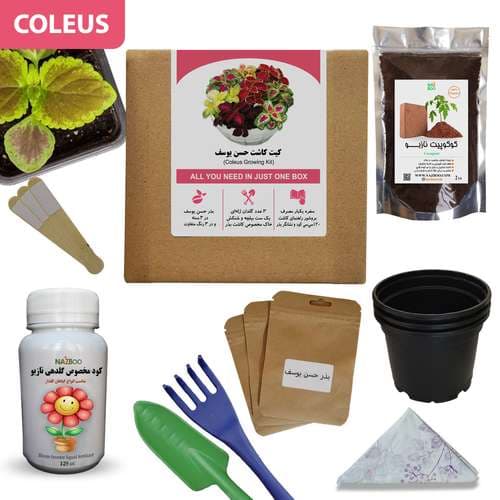 کیت کاشت حسن یوسف