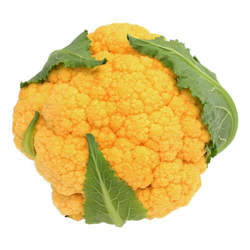 بذر گل کلم زرد هیبرید