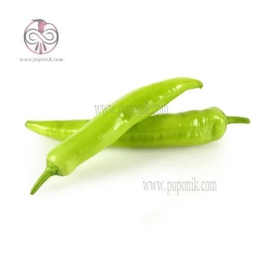 بذر فلفل چارلیستون سبز