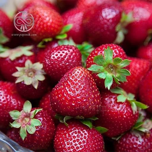 بذر توت فرنگی گاویتا