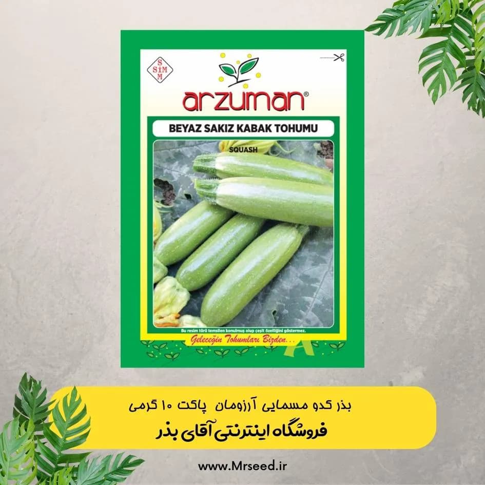 بذر کدو خورشتی آرزومان