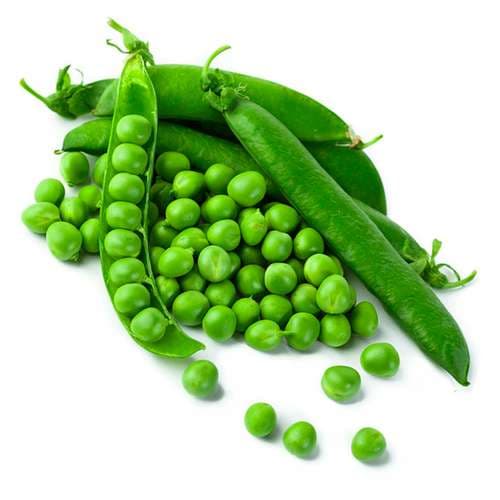 بذر نخود فرنگی خارجی