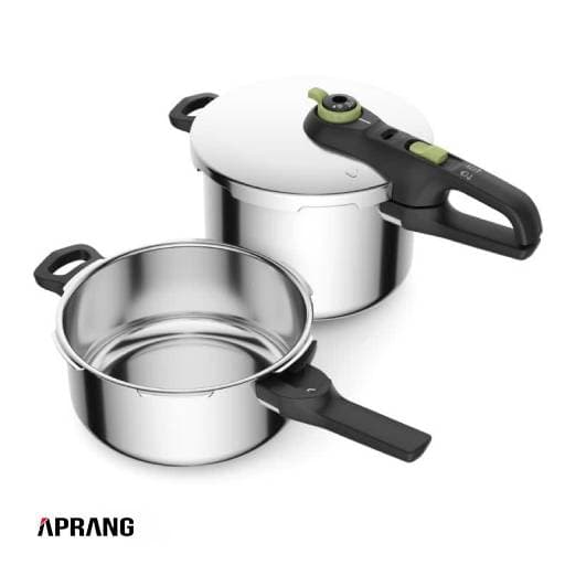 زودپز تفال مدل P2584300 با ظرفیت 6+4 لیتر