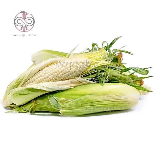 بذر ذرت سفید