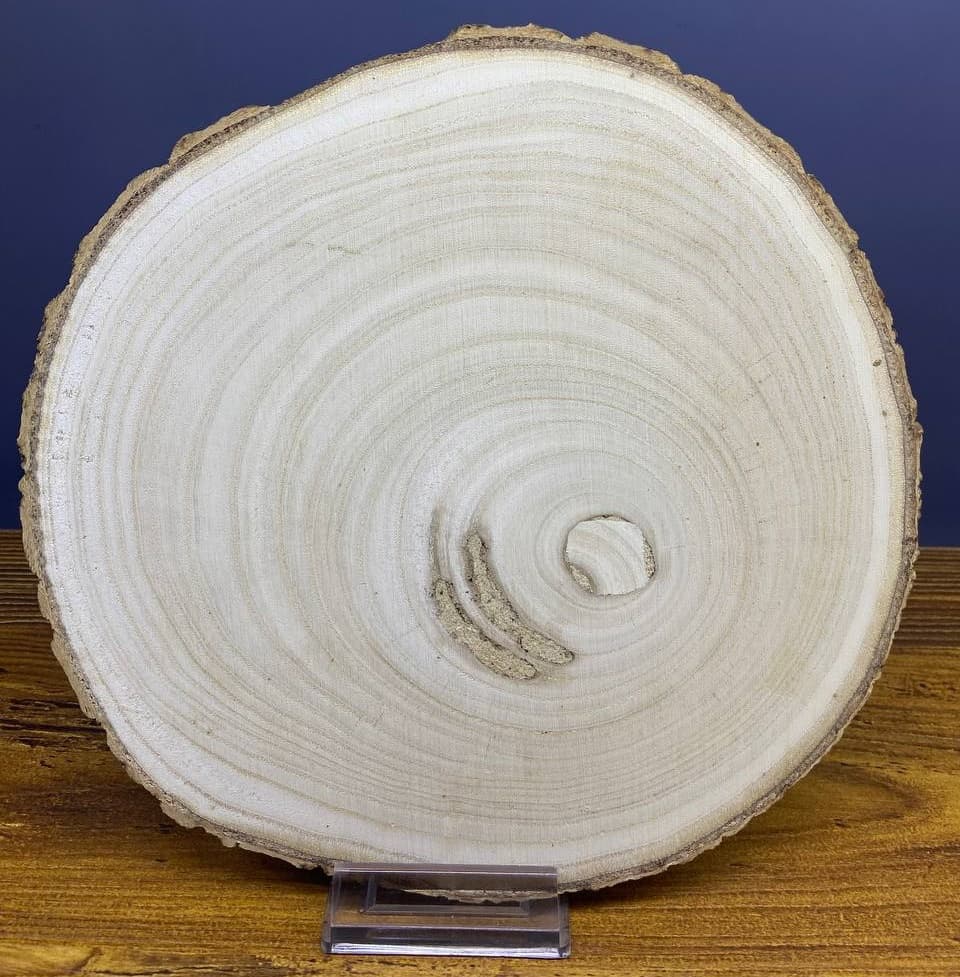 چوب اسلب طبیعی کد 327