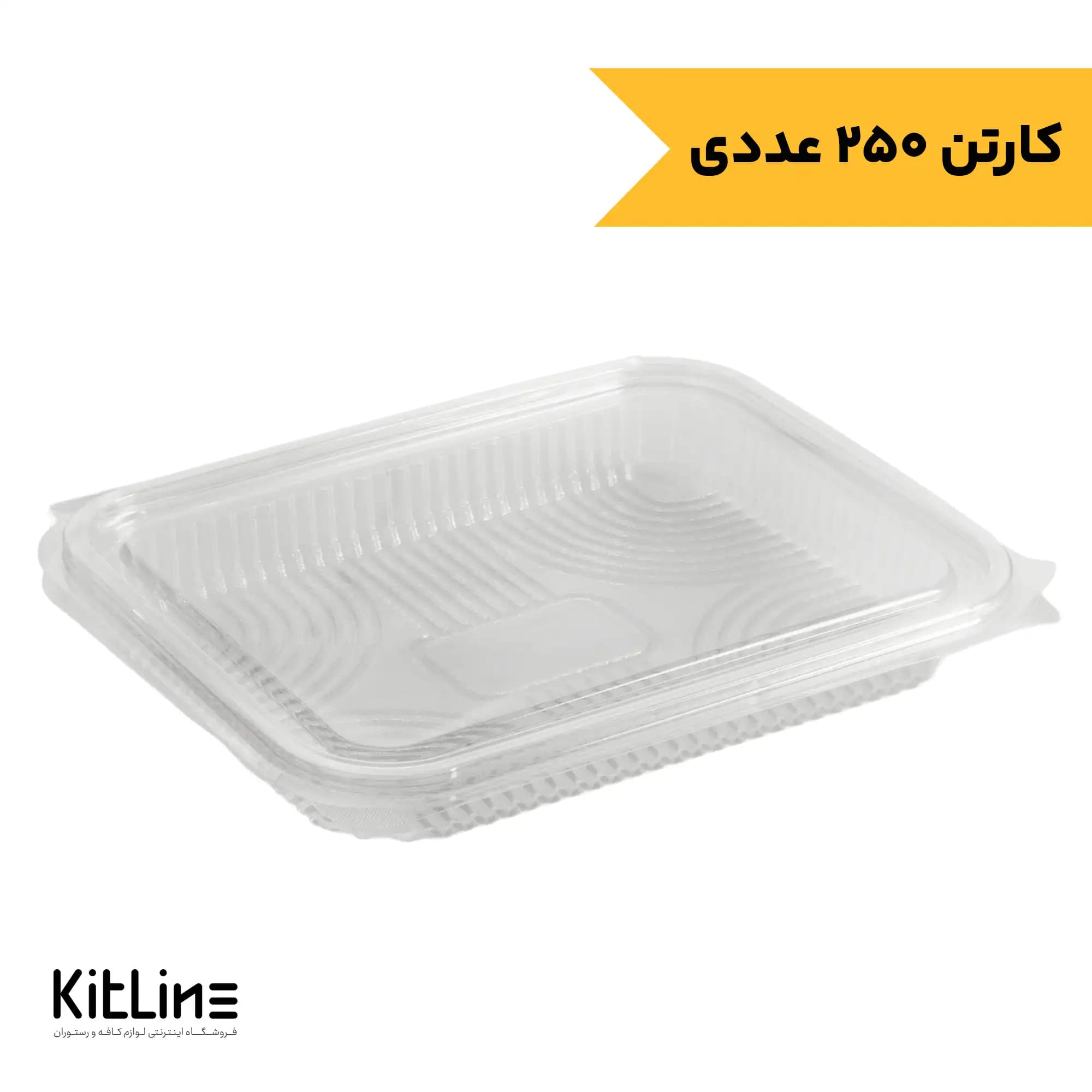 ظرف یکبار مصرف دلی رویال ۵۰۰ میلی لیتری شفاف همراه درب پارس خوزستان (کارتن ۲۵۰ عددی)