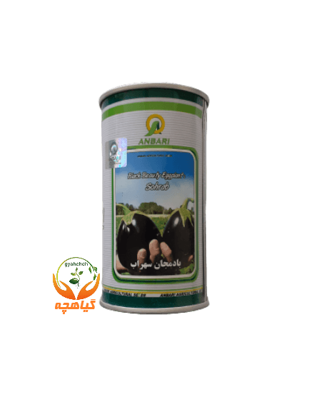 بذر بادمجان دلمه سهراب عنبری | ANBARI