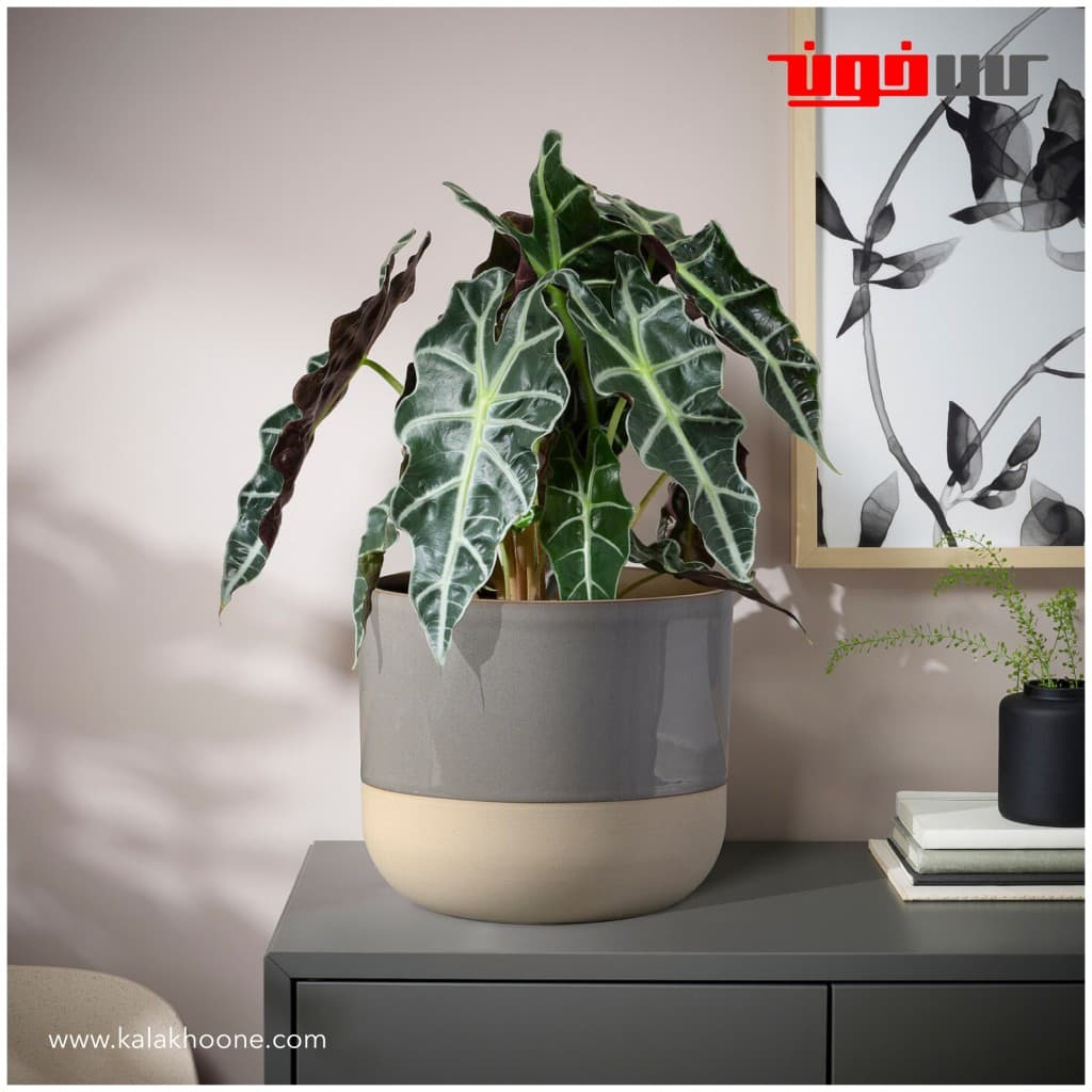 گلدان ایکیا مدل BOLLBUSKE