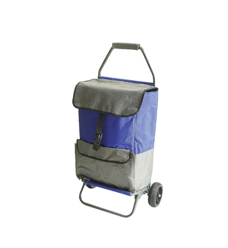 چرخ دستی خرید طرح دار (مدل آراد) arad