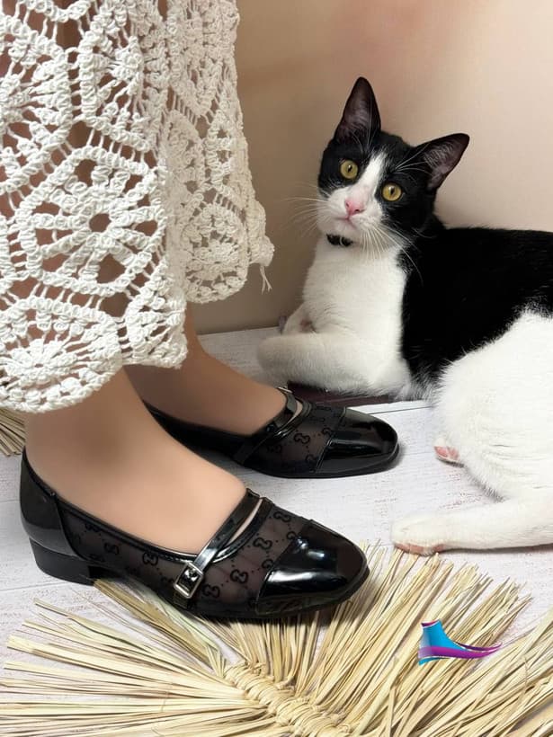 کالج بابت توری طرح جدید