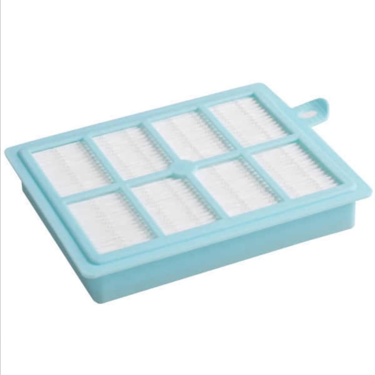 فیلتر جاروبرقی الکترولوکس اورجینال اصل مخصوص جاروبرقی Electrolux