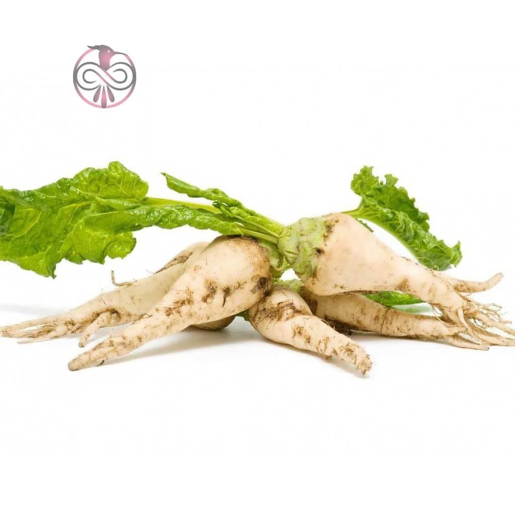 بذر چغندر قند