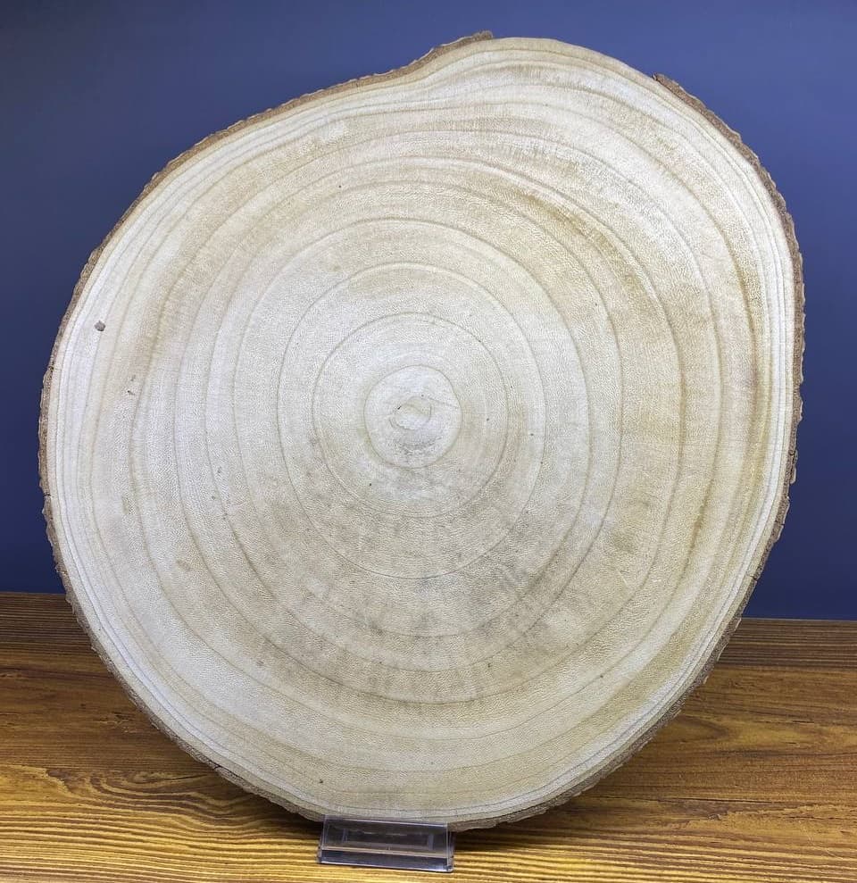 چوب اسلب طبیعی کد 331