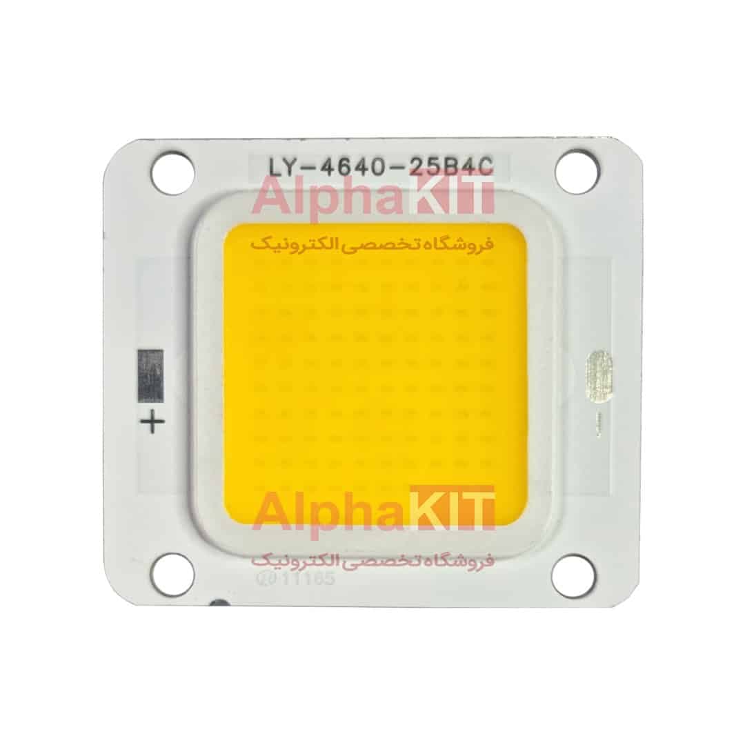 ال ای دی COB پروژکتوری 50 وات 12 ولت سفید آفتابی برند LY