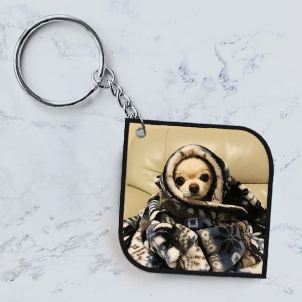 جاکلیدی (جاسوئیچی) مدل سگ فانتزی CAB101-J