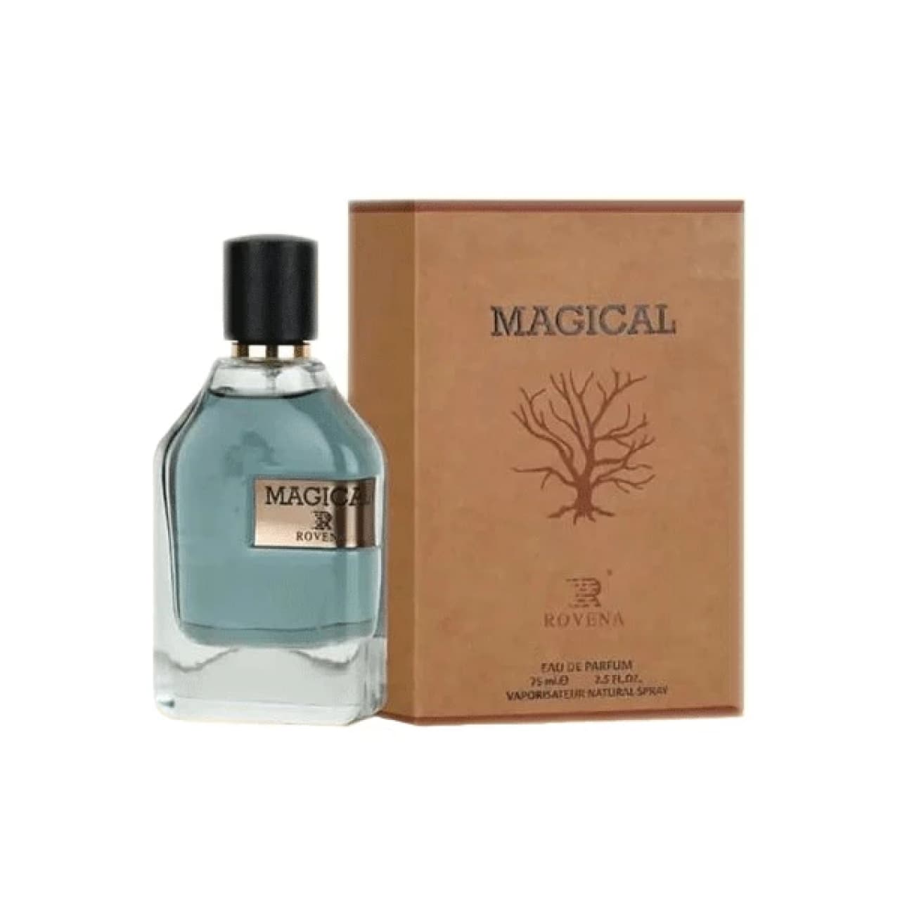 ادو پرفیوم مردانه روونا مدل مگامار حجم ۱۰۰ میل