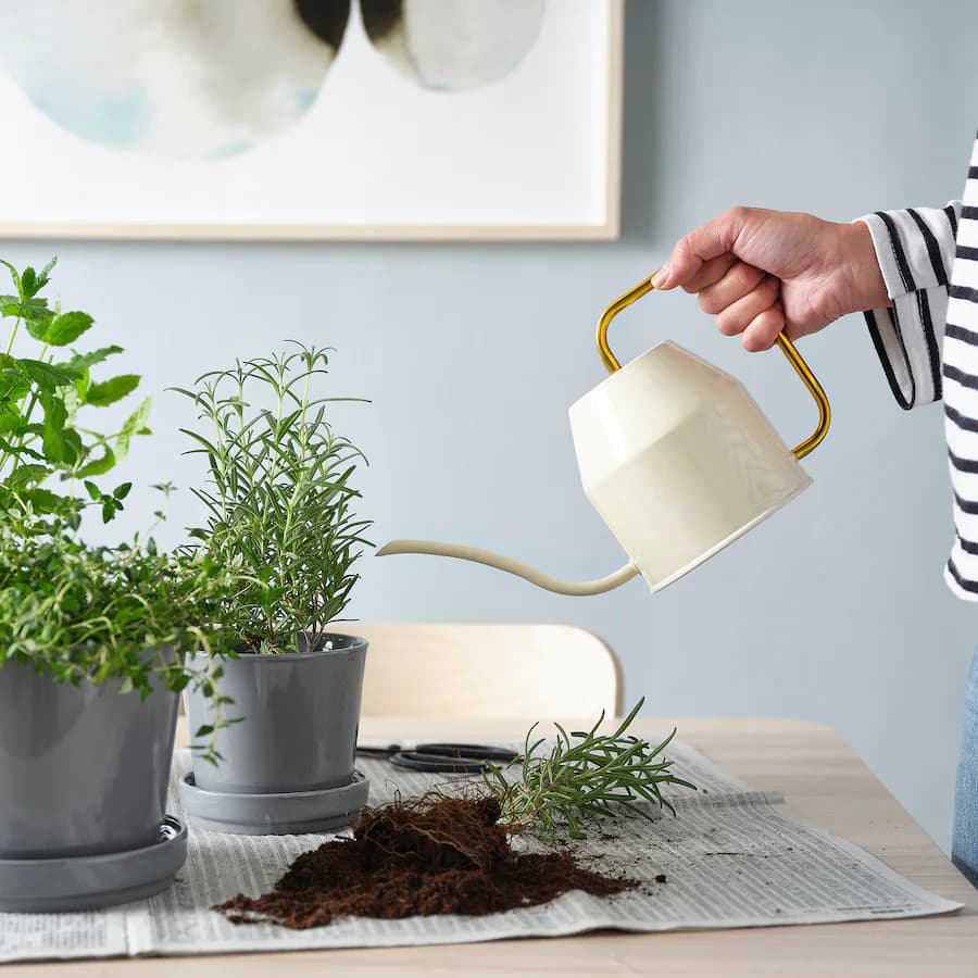 ابپاش دسته طلایی ایکیا