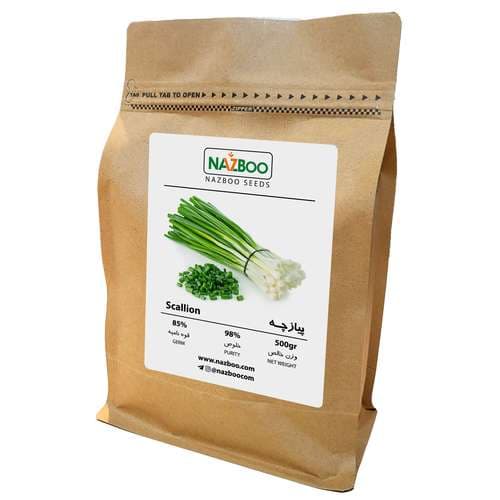 خرید عمده بذر پیازچه