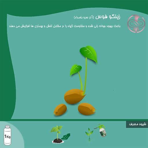 کود زینکو فوس آذر سرو بامداد