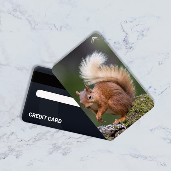 استیکر کارت بانکی مدل سنجاب کد CAD418-K