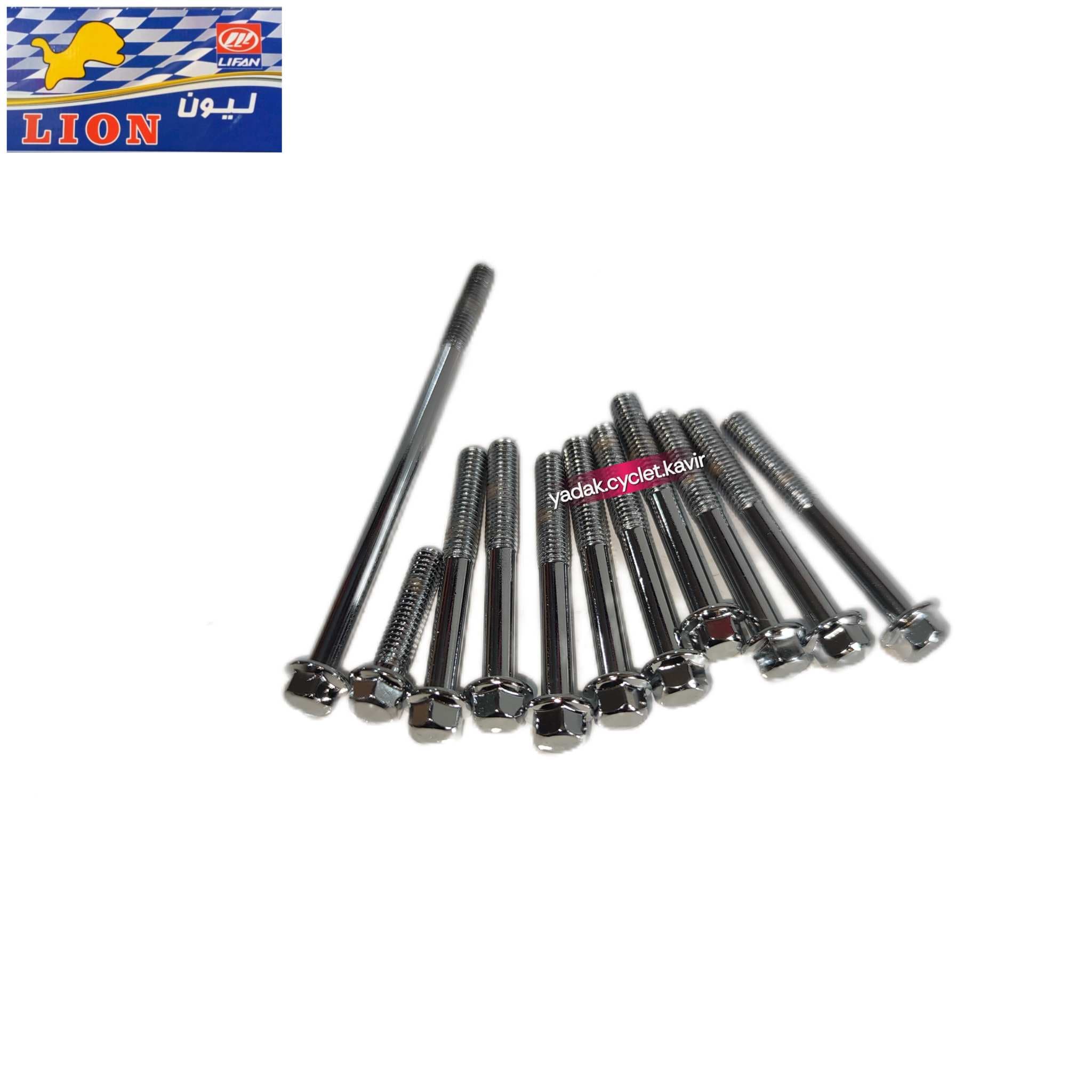 پیچ کارتل لیون