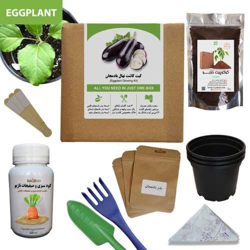 کیت پرورش نهال بادمجان در خانه