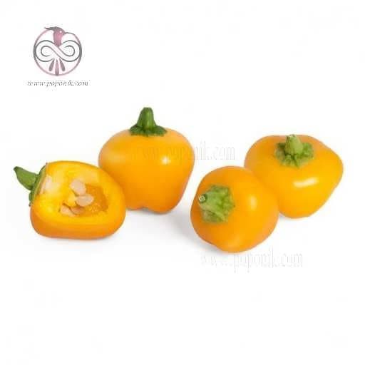 بذر فلفل زنگوله زرد