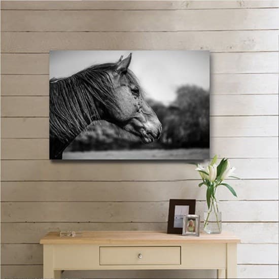 تابلوی دیواری اسب